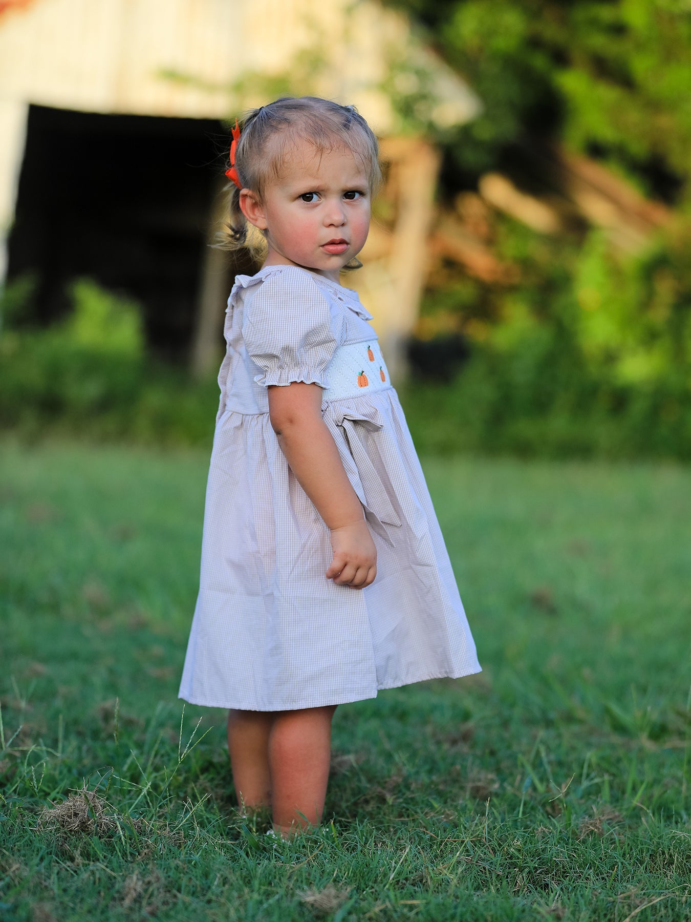 Fall Halloween & Thanksgiving Pumpkin Embroidery Smock Plaid Girls Dress