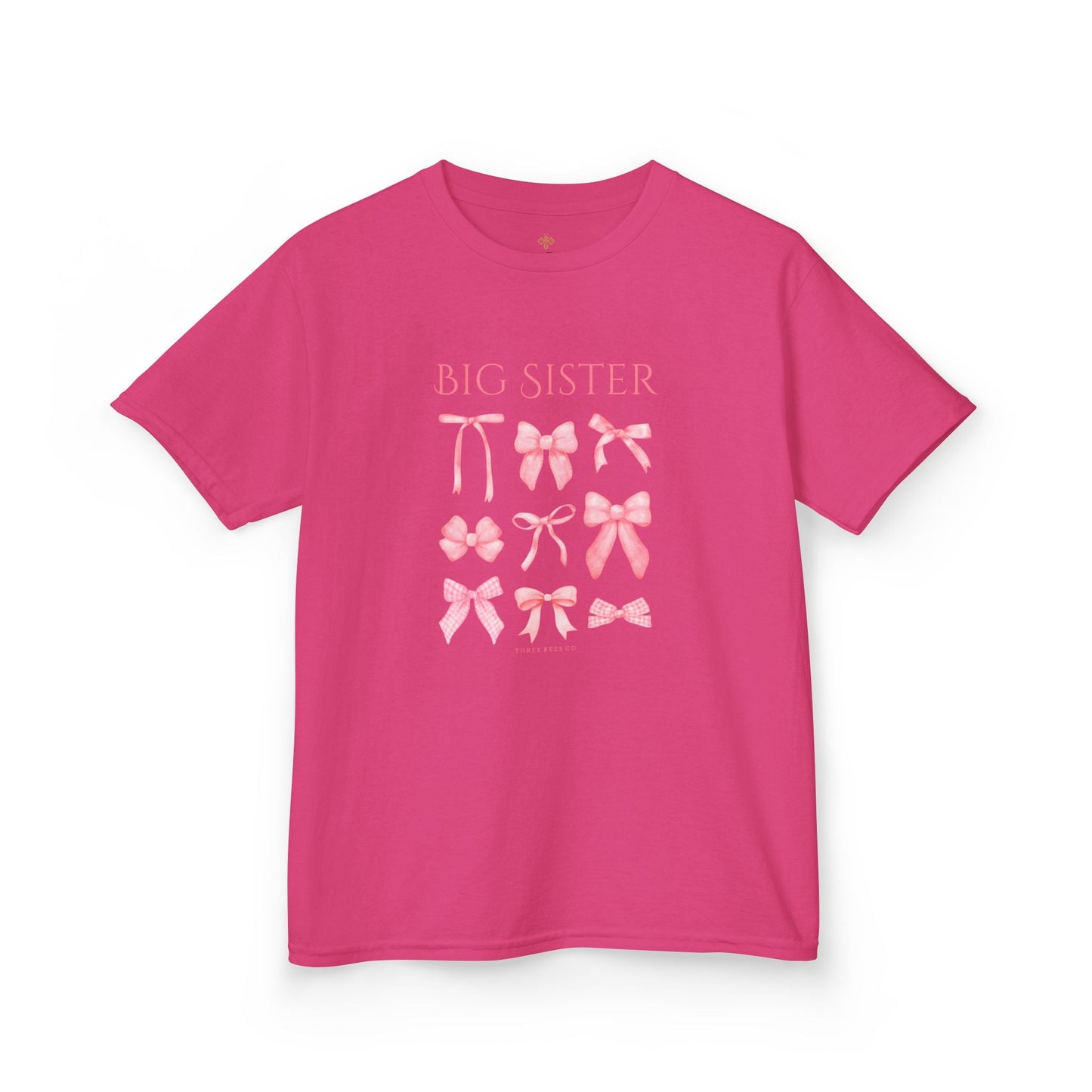 Bee the Best Big Sister Girls Short Sleeve Youth Hive Tee