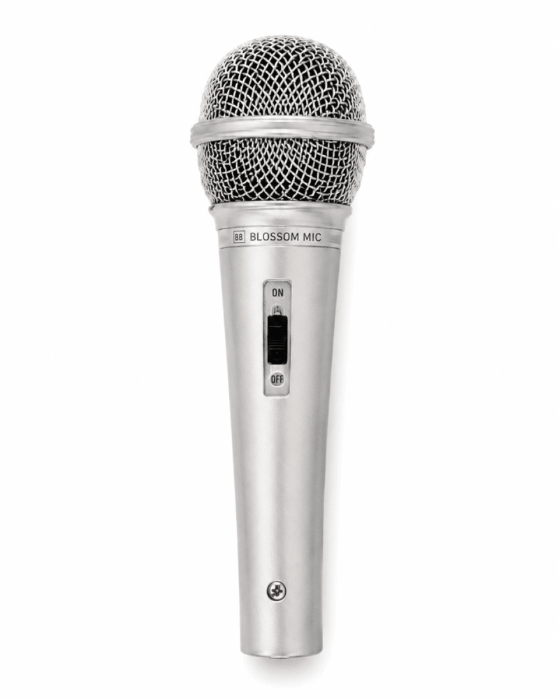 Silver Pop Star Microphone